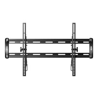 F58C2-B2 VUEPOINT LARGE TILT  POINT