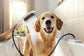 Hansgrohe Triple Jet Handheld Dog Shower in Pink (26640560)