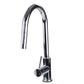 Tisira Chrome Coated Pull-Out Retractable Gooseneck Kitchen Mixer Tap (TMFP)